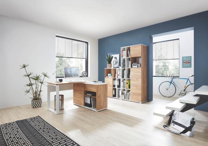 Lioni von Germania Büro Büroprogramm Lioni von Germania