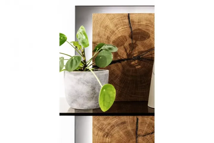 Assini von MCA Furniture Wohnwände Wohnwand Assini von MCA Furniture